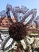 "DSCN9557Medium"