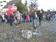 "DSCN1692Medium"